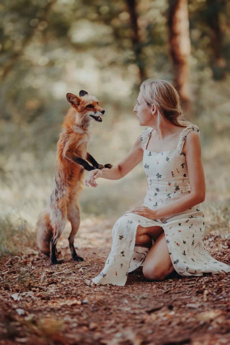 Agata-Zatorska-Profoto-Fotografia-sesja-ze-zwierzetami-sesja-z-lisem-2