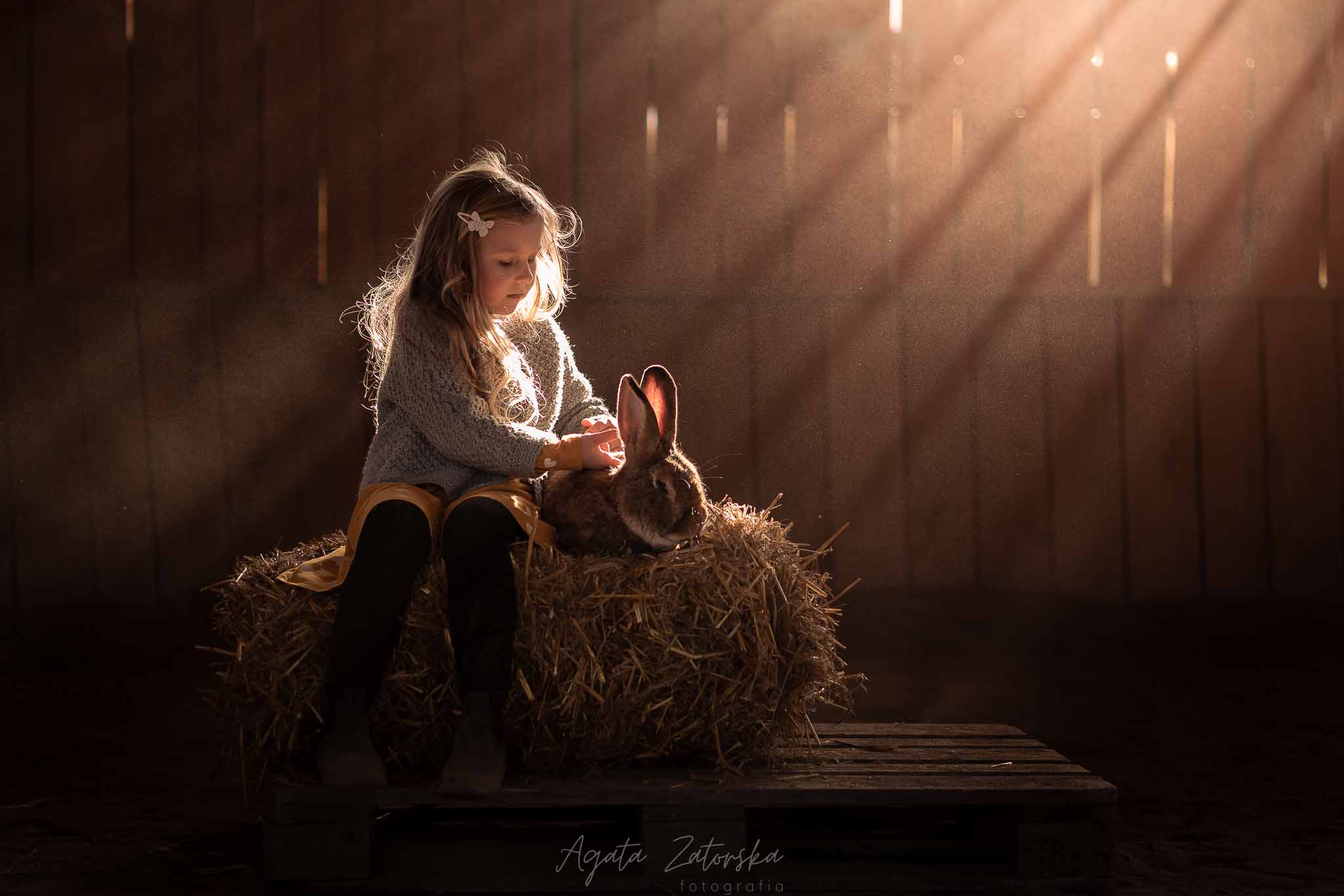 Agata-Zatorska-Profoto-kolektywne-studio-gdansk-trojmiasto-sesja-ze-zwierzetami-18