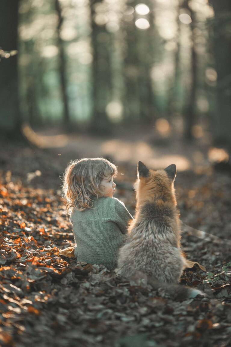 Sopot, Gdynia, Trójmiasto) Szukasz wyjątkowej sesji zdjęciowej dla swojego dziecka w Gdańsku, Sopocie lub Gdyni? Zapraszamy na bajkową sesję z oswojonym lisem – zwierzęciem z certyfikowanej hodowli, przyzwyczajonym do kontaktu z ludźmi. To niecodzienna okazja, by stworzyć pełne magii zdjęcia z dzikim zwierzęciem w bezpiecznych, kontrolowanych warunkach. Sesja z lisem to doskonały wybór zarówno dla dzieci, jak i dorosłych – idealna na prezent, pamiątkę lub spełnienie fotograficznego marzenia. Fotografuję na terenie Trójmiasta – w Gdańsku, Sopocie i Gdyni – w plenerze lub w studio. Każda sesja przygotowywana jest indywidualnie, z dbałością o komfort modeli i dobrostan zwierząt. Zarezerwuj swoją sesję z lisem i stwórz niezapomniane wspomnienia!
