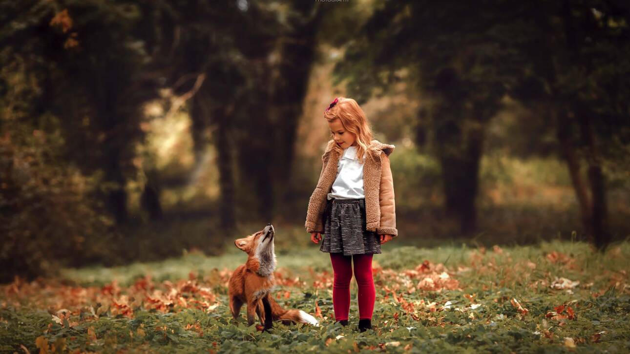 Sopot, Gdynia, Trójmiasto) Szukasz wyjątkowej sesji zdjęciowej dla swojego dziecka w Gdańsku, Sopocie lub Gdyni? Zapraszamy na bajkową sesję z oswojonym lisem – zwierzęciem z certyfikowanej hodowli, przyzwyczajonym do kontaktu z ludźmi. To niecodzienna okazja, by stworzyć pełne magii zdjęcia z dzikim zwierzęciem w bezpiecznych, kontrolowanych warunkach. Sesja z lisem to doskonały wybór zarówno dla dzieci, jak i dorosłych – idealna na prezent, pamiątkę lub spełnienie fotograficznego marzenia. Fotografuję na terenie Trójmiasta – w Gdańsku, Sopocie i Gdyni – w plenerze lub w studio. Każda sesja przygotowywana jest indywidualnie, z dbałością o komfort modeli i dobrostan zwierząt. Zarezerwuj swoją sesję z lisem i stwórz niezapomniane wspomnienia!